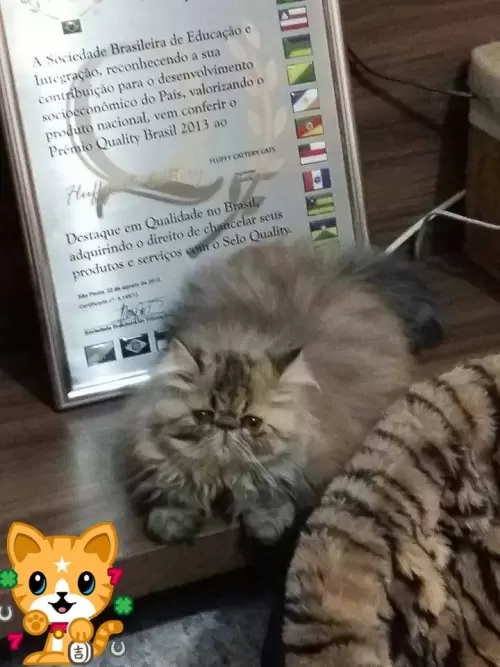 Filhotes Passados